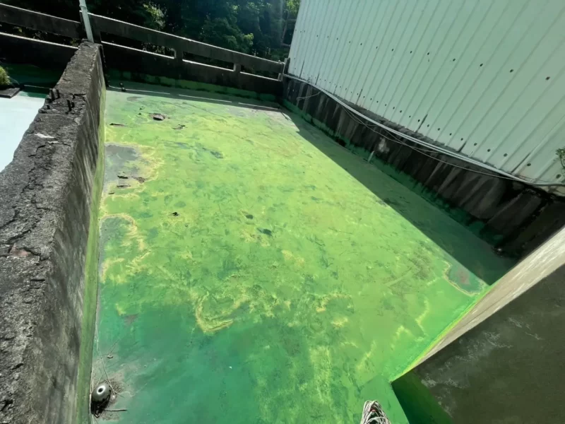 廣建抓漏防水工程行-彰化防水抓漏|彰化外牆防水|南投抓漏處理推薦-服務案例-PU防水工程-10