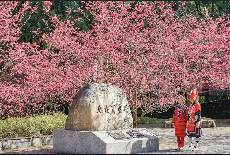 【南投埔里住宿推薦】家園時尚旅店-埔里住宿,埔里休息,南投汽車旅館-優惠情報-1