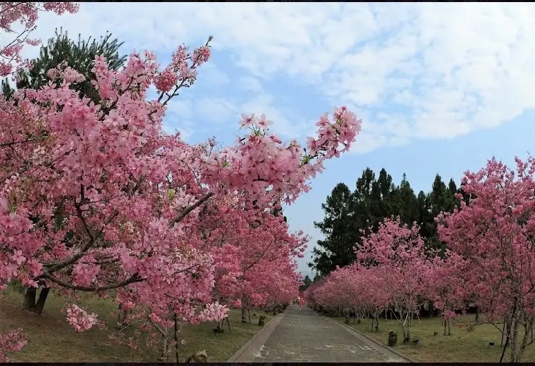 【南投埔里住宿推薦】家園時尚旅店-埔里住宿,埔里休息,南投汽車旅館-優惠情報-2