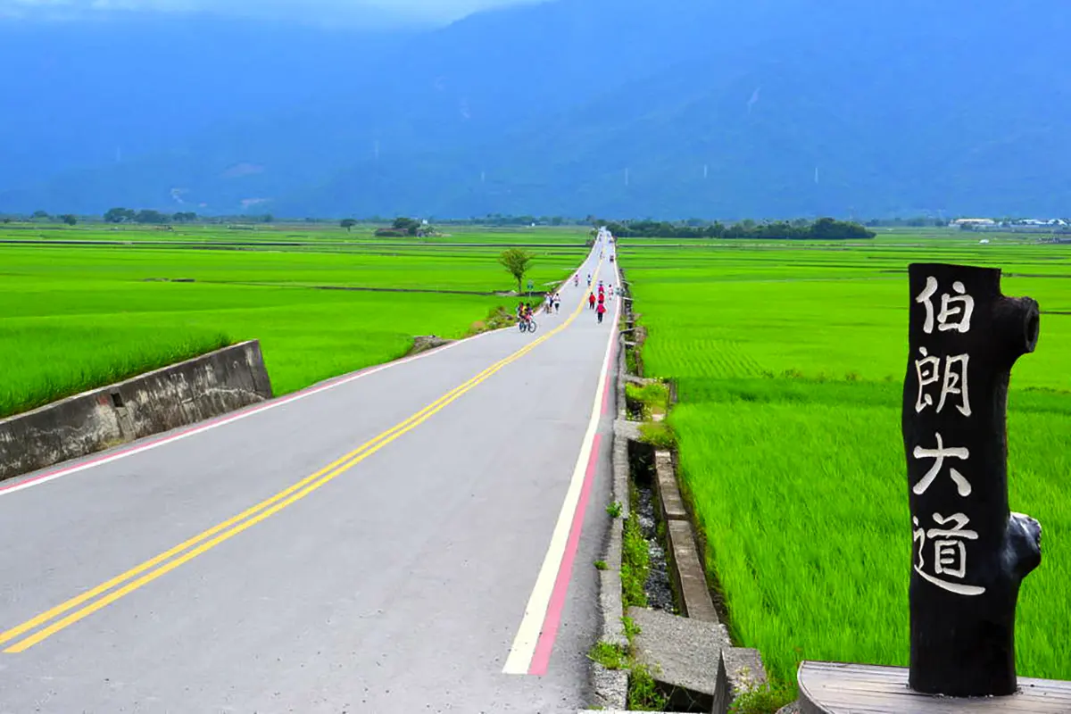 台東東飛燕民宿-台東民宿包棟推薦_台東火車站住宿_伯朗大道