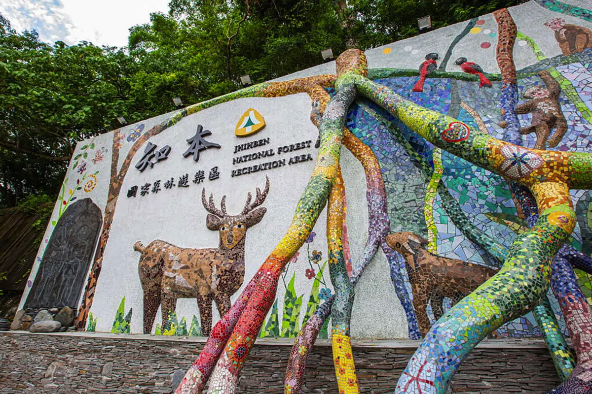 台東東飛燕民宿-台東民宿包棟推薦_台東火車站住宿_知本國家森林遊樂區