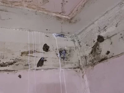 允盛水管補漏專家-防水抓漏,漏水滲水處裡,浴室防水,全省服務-服務案例-彰化縣溪州鄉冷水管滲漏修補07