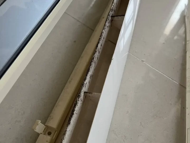 真堂千冷氣洗衣機清洗-高雄洗冷氣,高雄冷氣清洗,高雄洗衣機清洗,洗冷氣1300,洗冷氣最低900,台南冷氣清洗,台南洗衣機清洗-分離式冷氣清洗-5